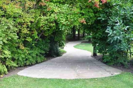 DIY Outdoor Patios: What You Need to Know Image